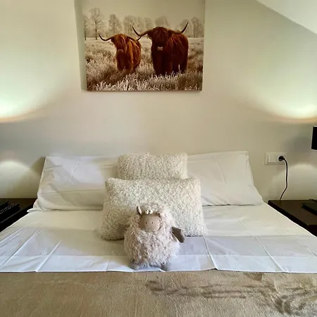 Calquerol 2 Penthouse In The Downtown