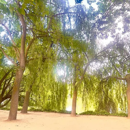 Calquerol 2 Penthouse In The Downtown Apartamento